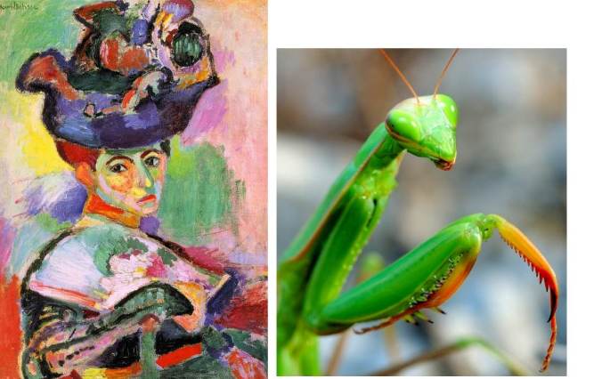 Matisse-femme au chapeau-analogie