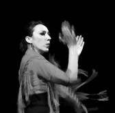 flamenco-light