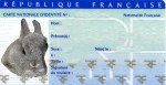 Carte_identite